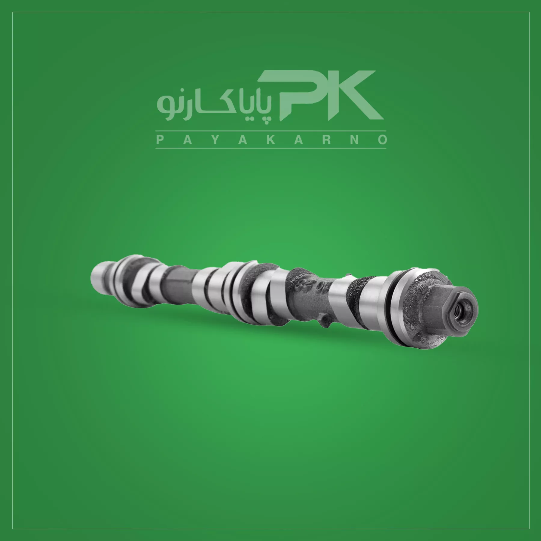پایا کارنو پایا کارنو